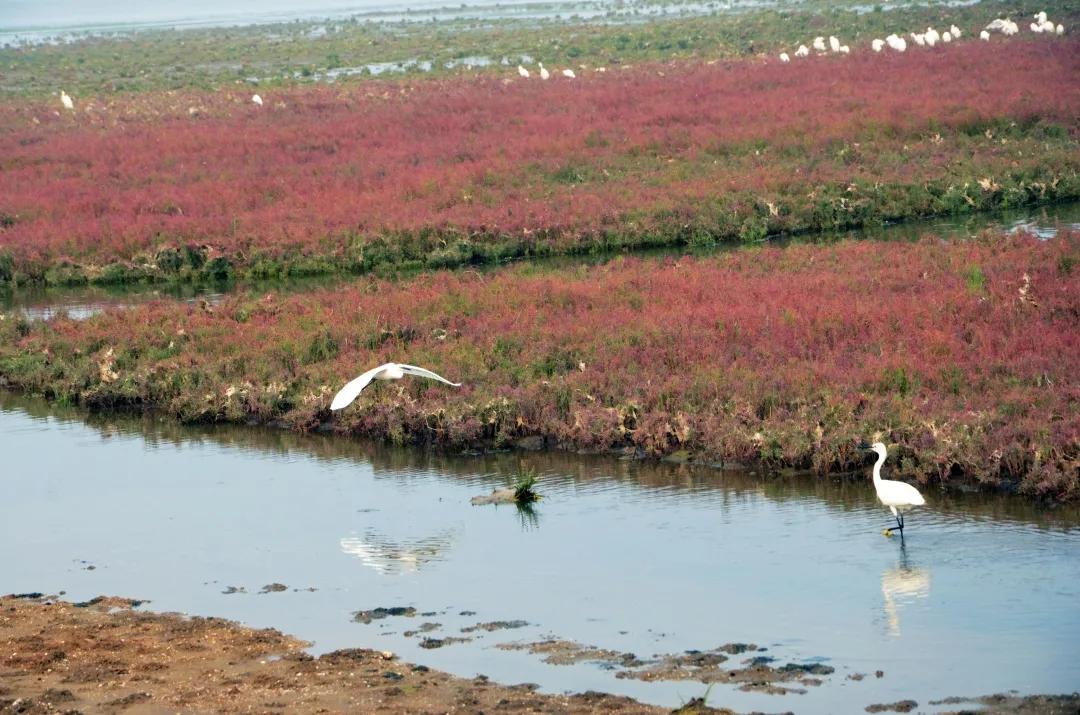 快呼朋引伴,秦皇岛这些春季户外运动等着你轻装上阵~