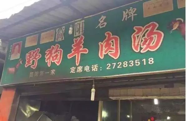 成都适合20人一日吃玩地方推荐,成都周边必打卡人间仙境毕棚沟