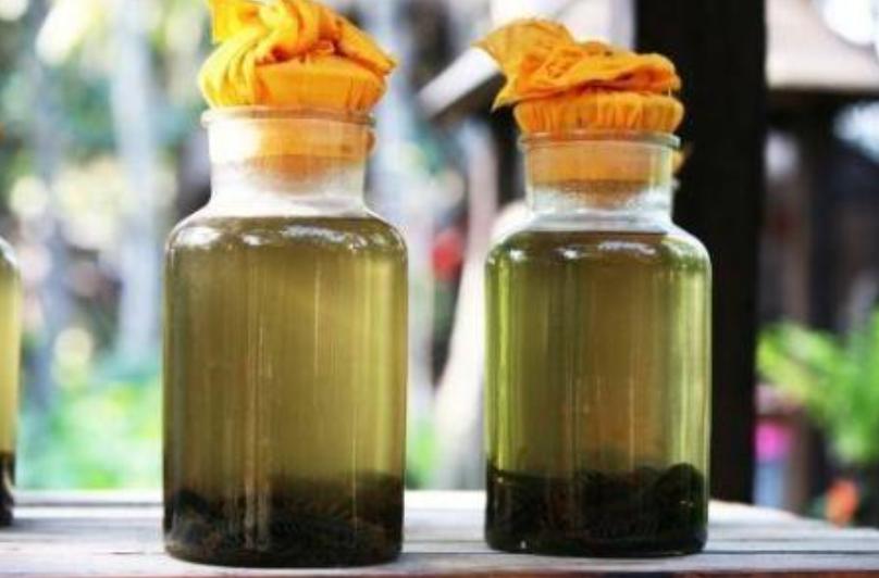 7斤重五步蛇与狗撞上,狗赶蛇不成被咬身亡!和眼镜蛇比它更毒?