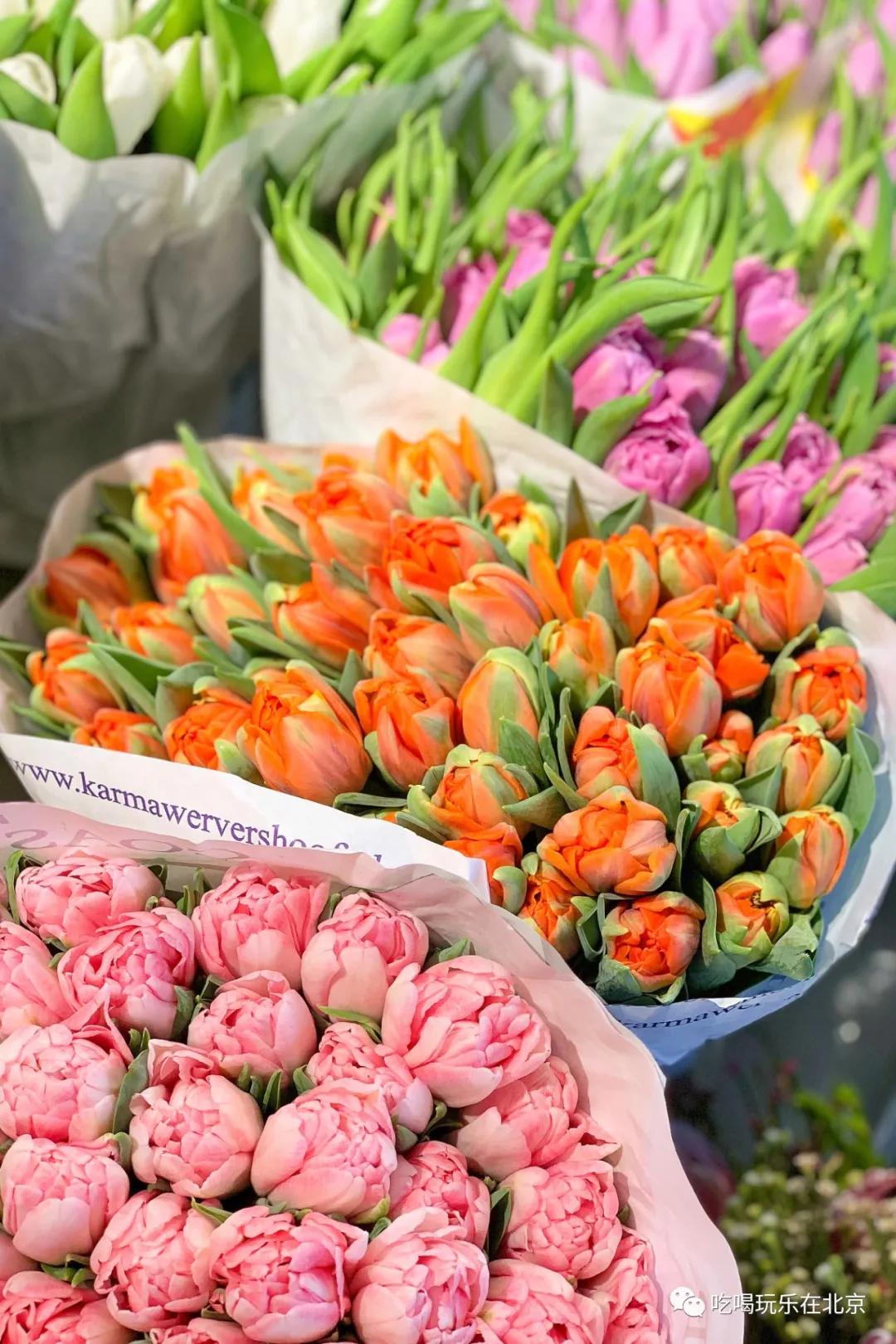 北京花市攻略大全,北京最美赏花景点