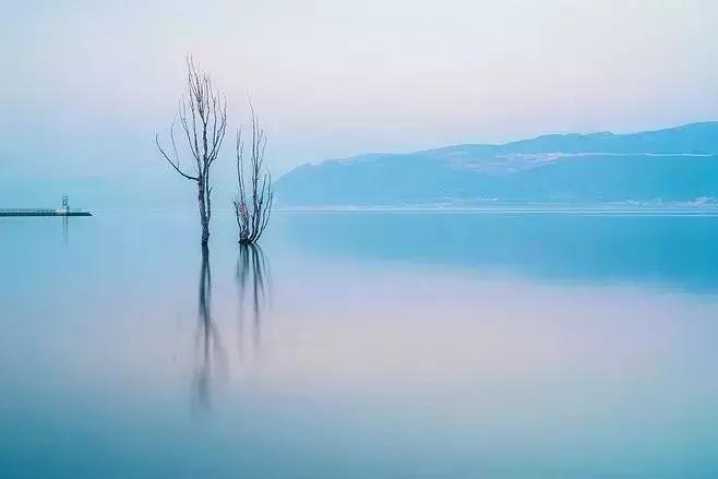 渡人深度好文摘抄,渡人深度好文经典