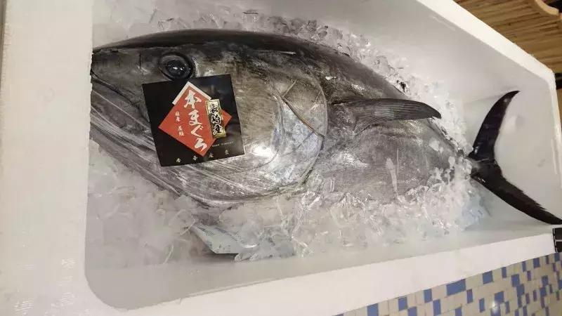 藏在虹口这家超奢「割烹料理」，竟还有米其林一星背景！