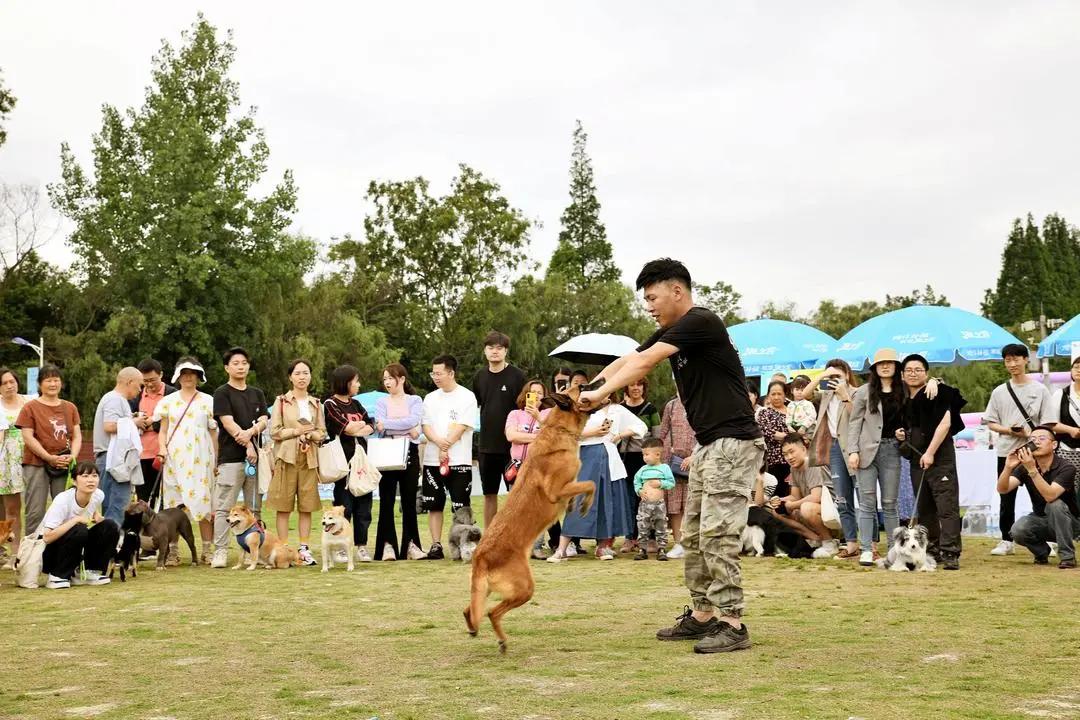 郫都区国庆游玩推荐,11月郫都周边游