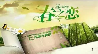 大王椰板材与莫干山哪个比较好,大王椰莫干山兔宝宝哪个性价比高