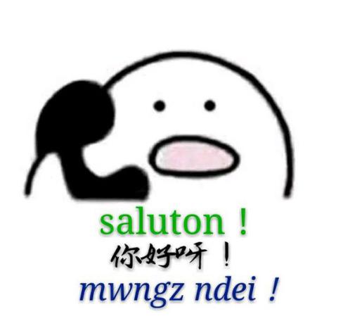 寻回壮语！没有语言就不再完整