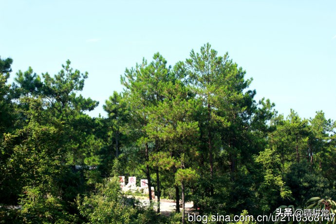 赣州峰山附近一日游自驾游景点,赣州峰山美景