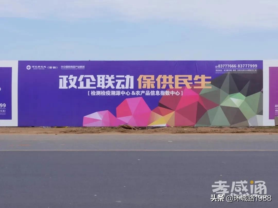 未来可期！向你展现不一样的毛陈