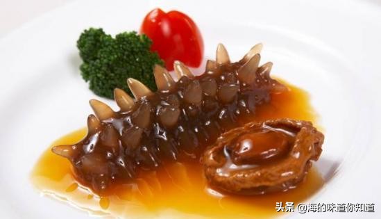 海参小米粥的家常做法大全,海参的家常做法红烧海参