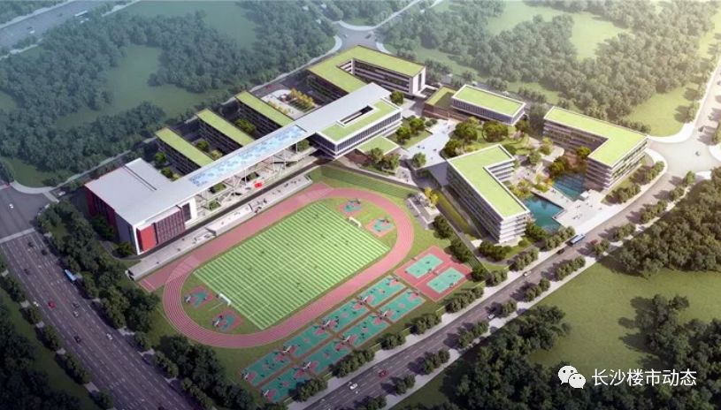 岳麓区规划中小学,岳麓区打造分校