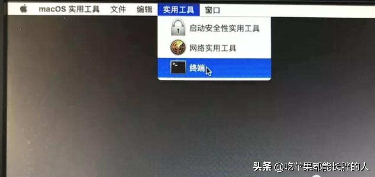 苹果mac如何使用固态硬盘,苹果笔记本fusion硬盘