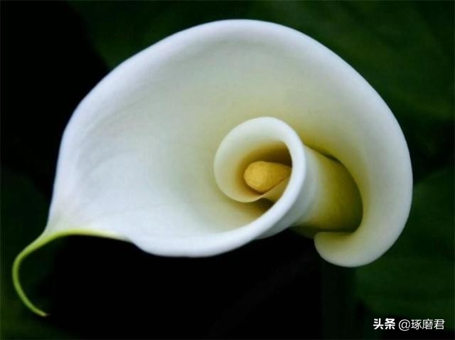 曾国藩七大箴言,曾国藩讲人生大智慧胜读十年书