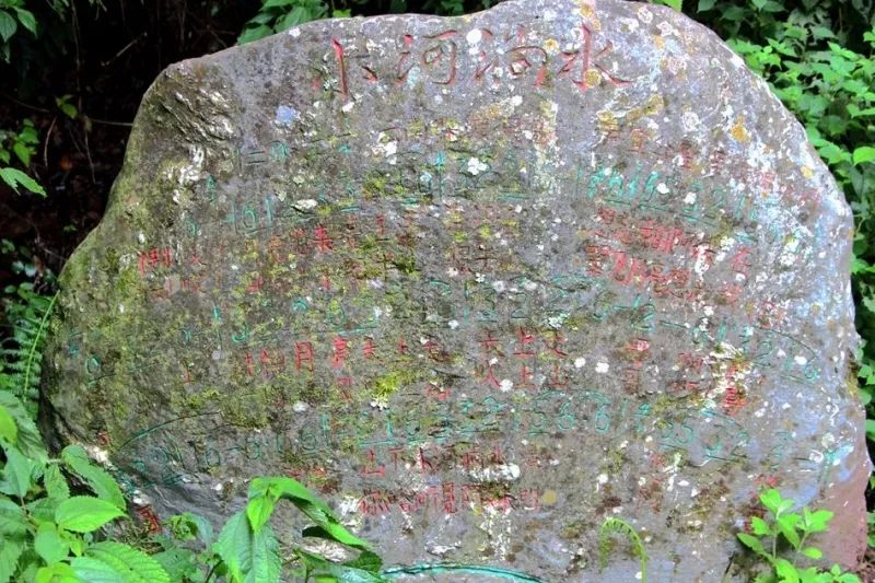 云品出滇入鲁,云品出滇简介