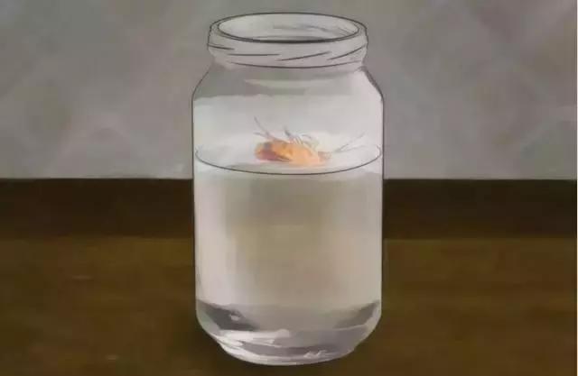 目前最有效的灭蟑螂方法,四种灭蟑螂的方法哪种更适合你