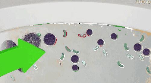 洁厕灵清洗马桶顽固污垢,用什么洁厕可以去除马桶陈年污垢