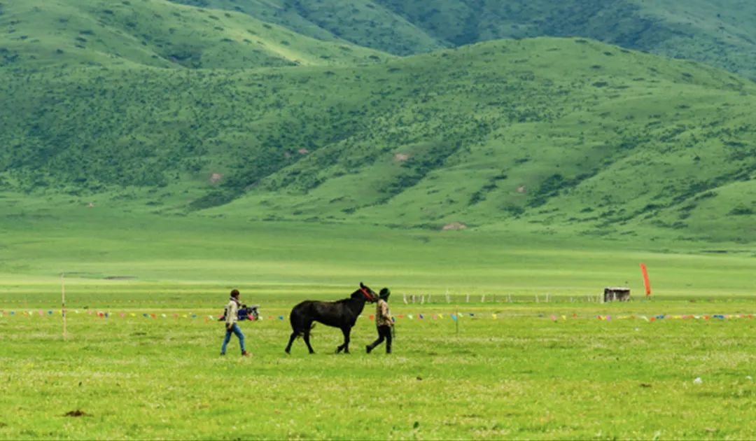 阿坝州不为人知的秘境,阿坝州的世外桃源村落