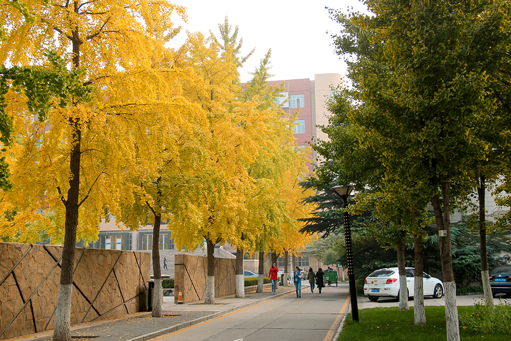有哪些低调有实力的双非院校,双非高校拥有国内一流专业