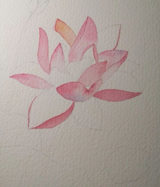 荷花的4种画法,最简单的荷花画法一学就会