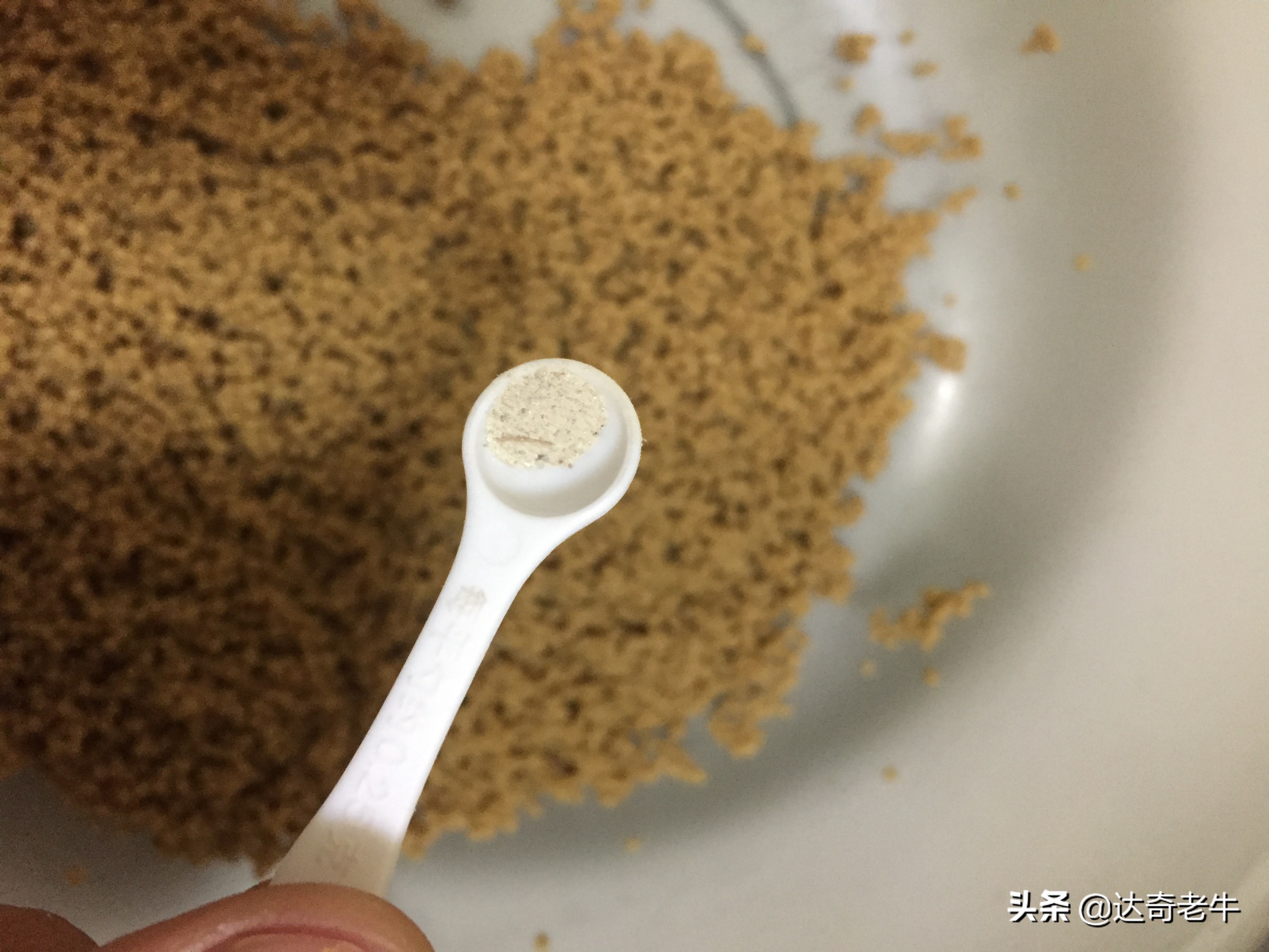 浮水颗粒喂鱼,怎么用浮水颗粒钓滑鱼