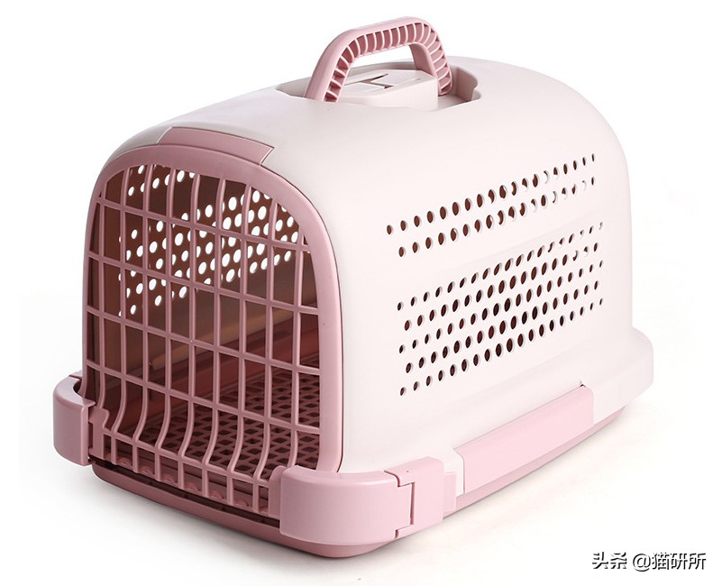 猫咪航空托运全面解析铲屎官必看,八大航空公司对于托运猫咪要求