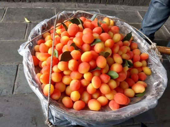 好吃又便宜的网红水果推荐,好吃又奇葩又贵的水果