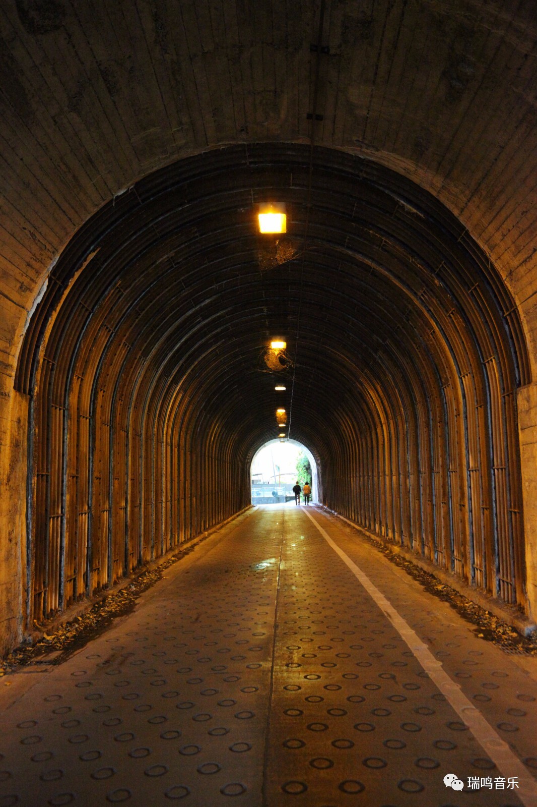 伊豆的舞女为什么是经典,伊豆的舞女中舞女的形象