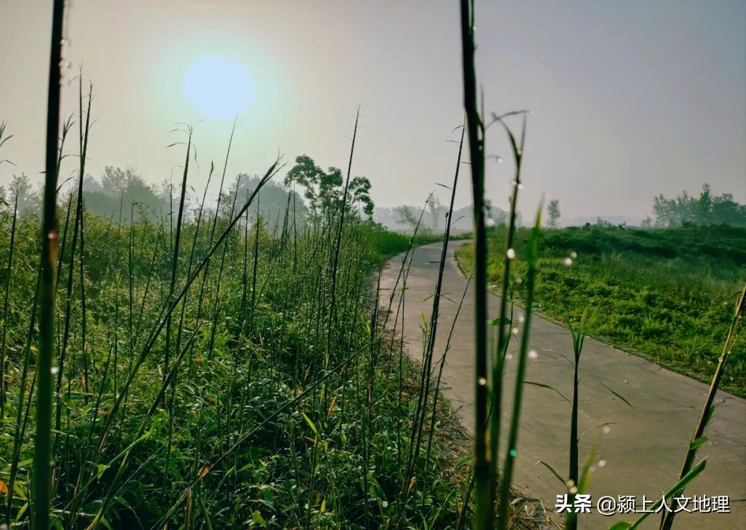 从东十八里铺到颍上,三王到颍上
