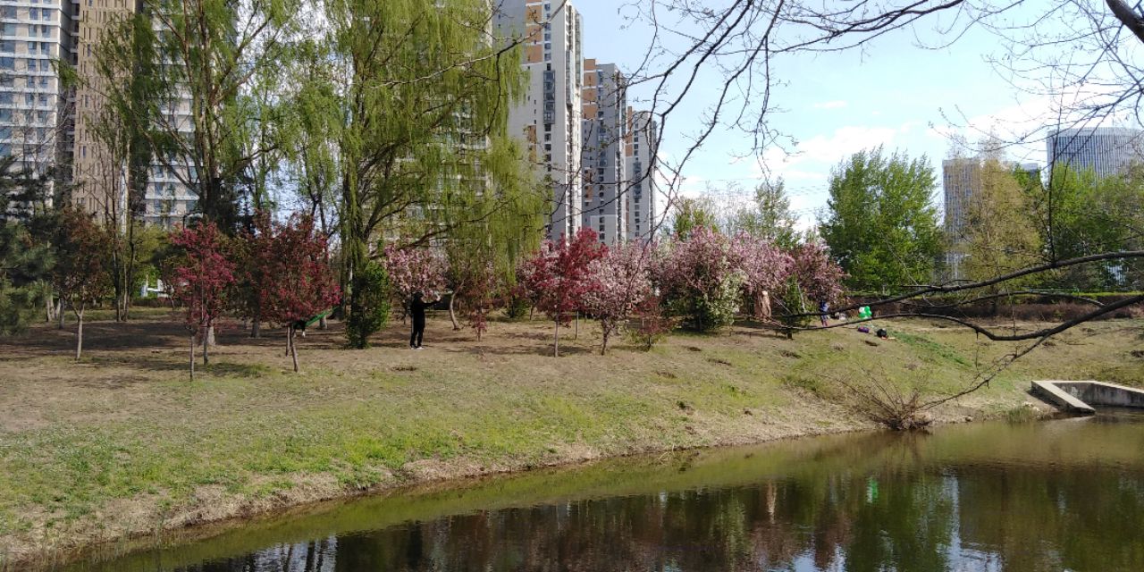 沈阳长白岛森林公园一日游攻略,长白岛森林公园五一