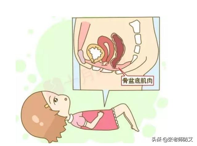 很多妈妈们都会遇到的烦恼—盆底肌松弛，不怕！产后康复来拯救