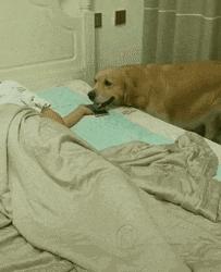 把中间的门店租下来取什么名字好,租下门面不知道取什么名字