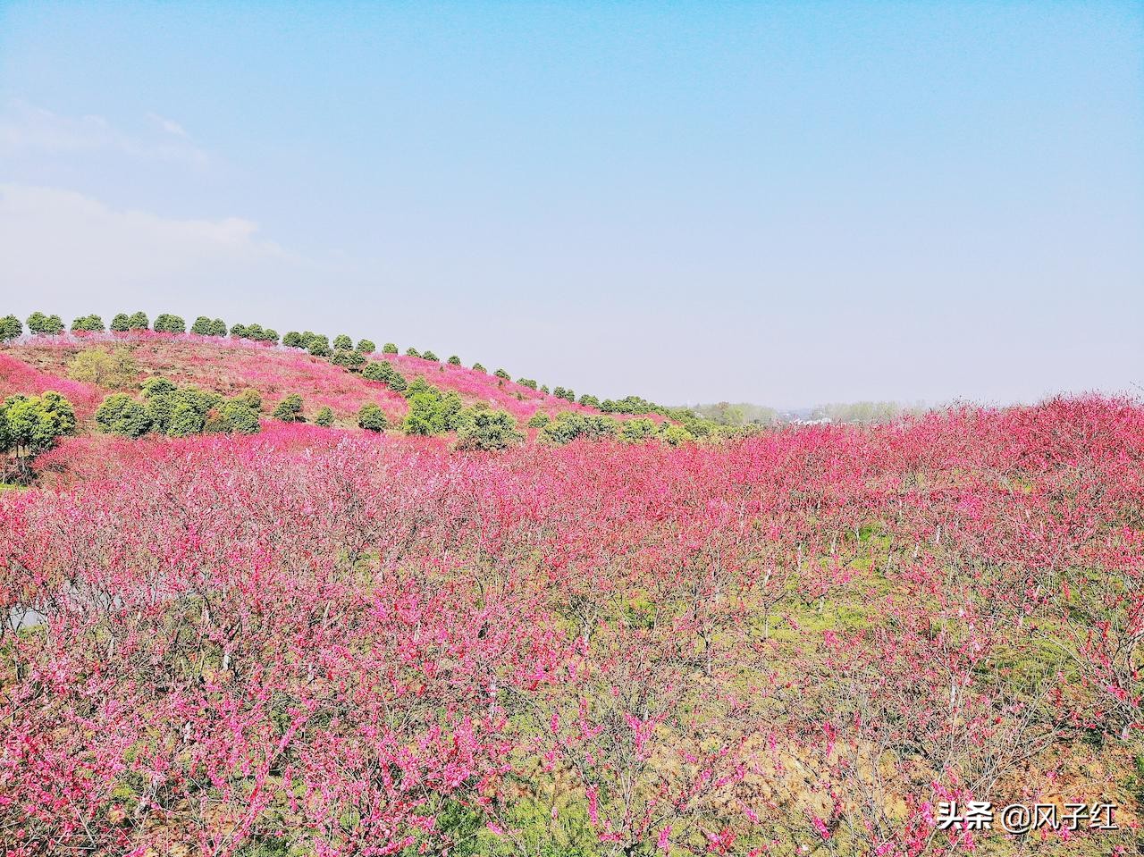 武汉黄陂旅游住宿攻略,黄陂艳阳天酒店价格表