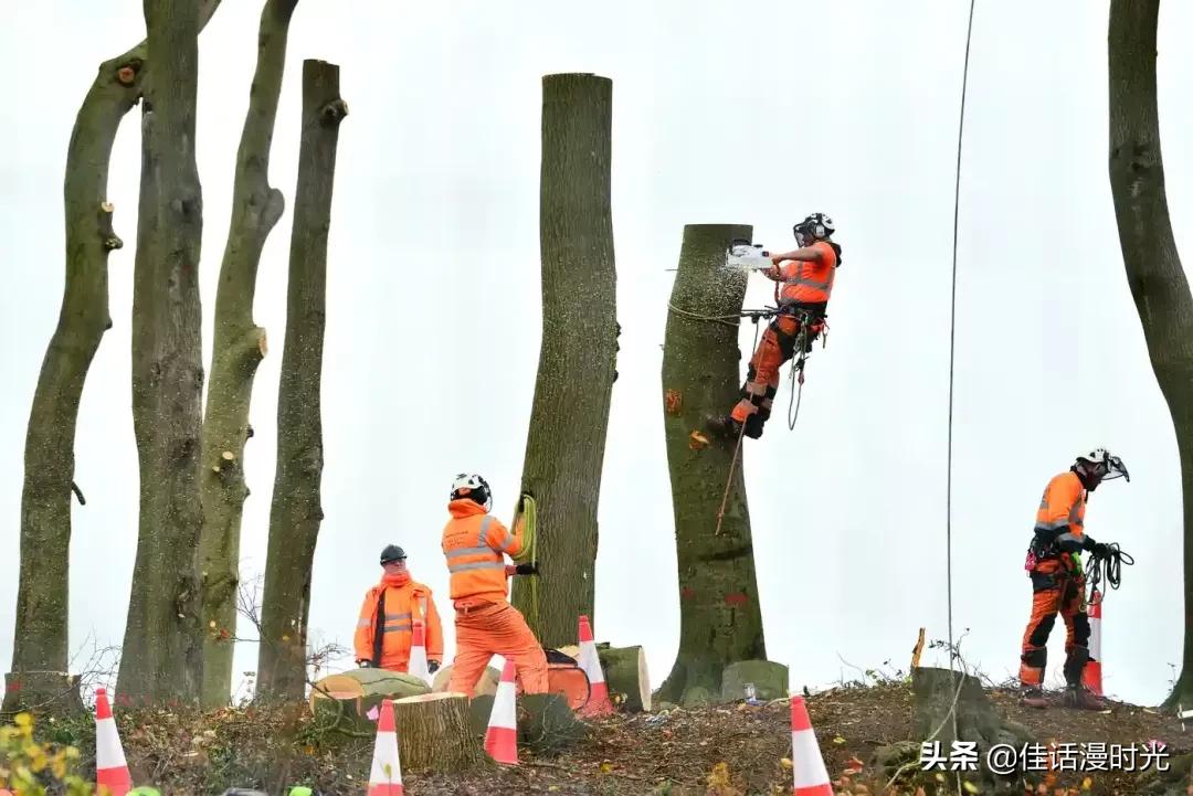 2022全球华人摄影大赛,华人摄影大赛