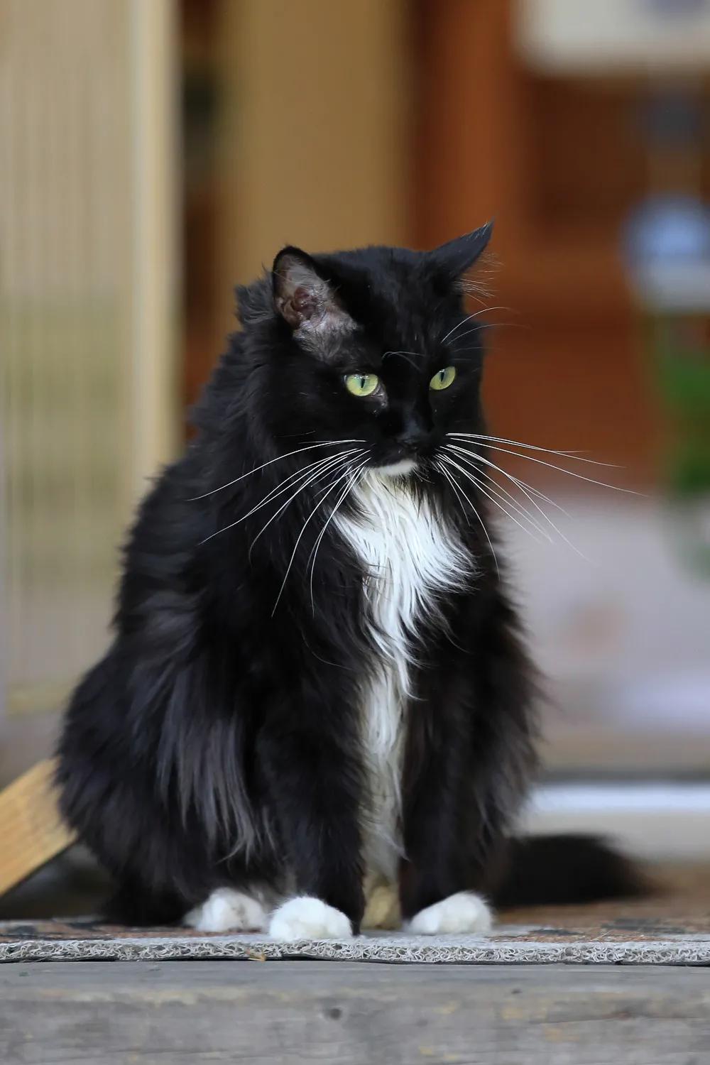 拼头条吗？好姐妹就要一起上啊