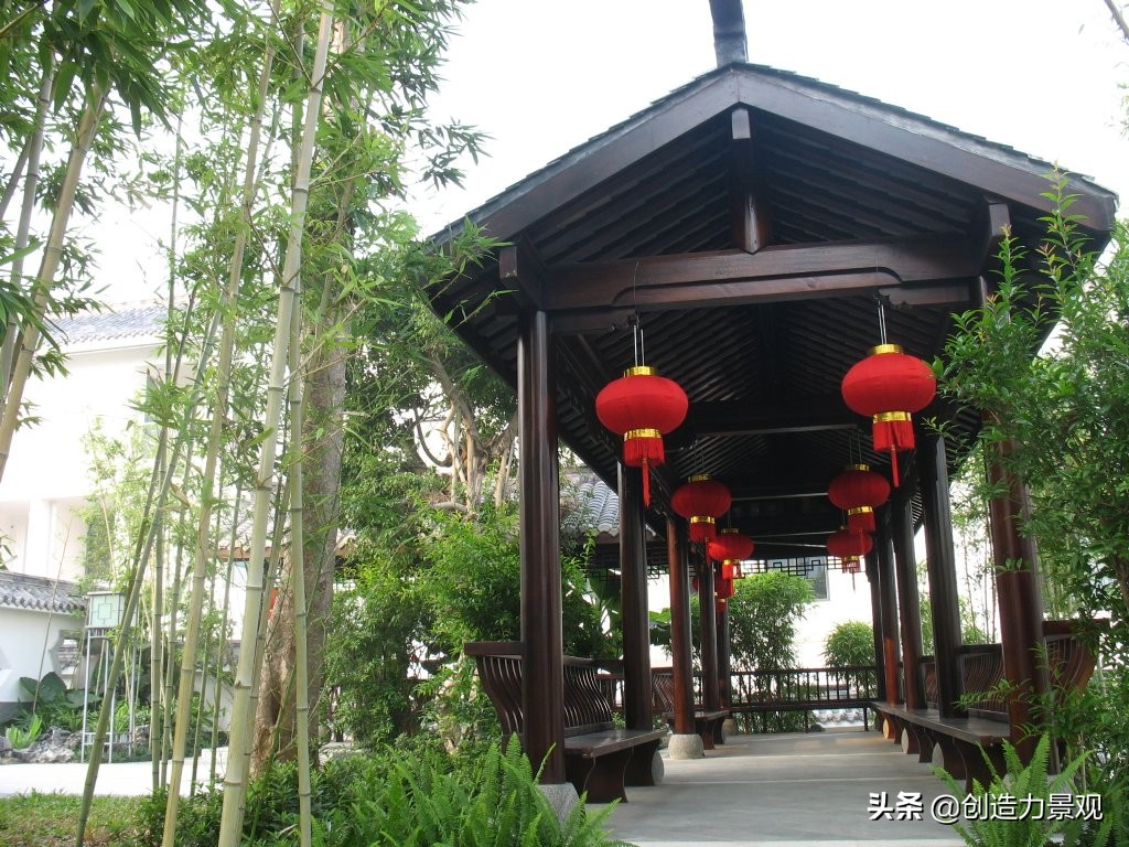 南方庭院种植什么竹子品种最好,庭院适合种什么竹子可以做隔断