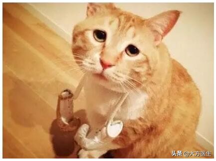 便秘带来危害,便秘对人体的伤害