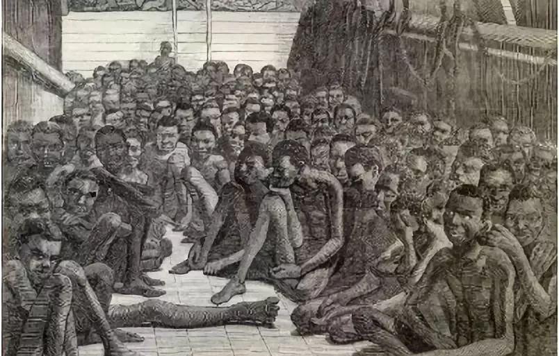 堪比黄金的蔗糖，只有贵族才能享用，欧洲为了蔗糖的血腥奴役