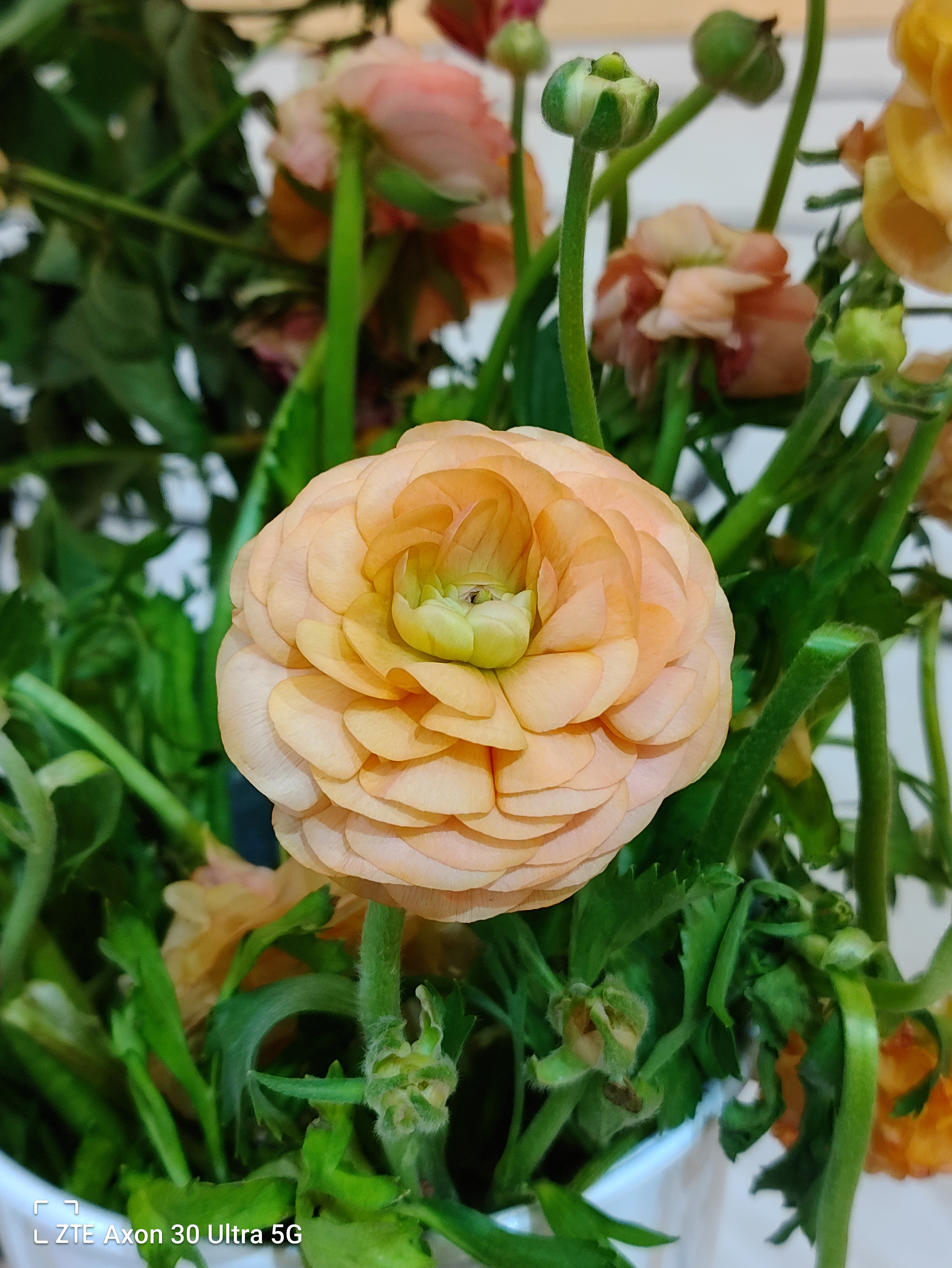 中兴axon30ultra和努比亚z30pro,中兴axon30ultra对比魅族18pro