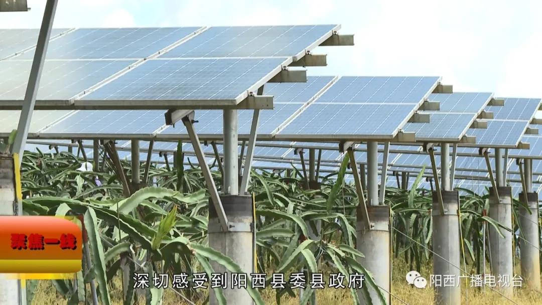 阳西县光伏发电项目,阳西县光伏公司