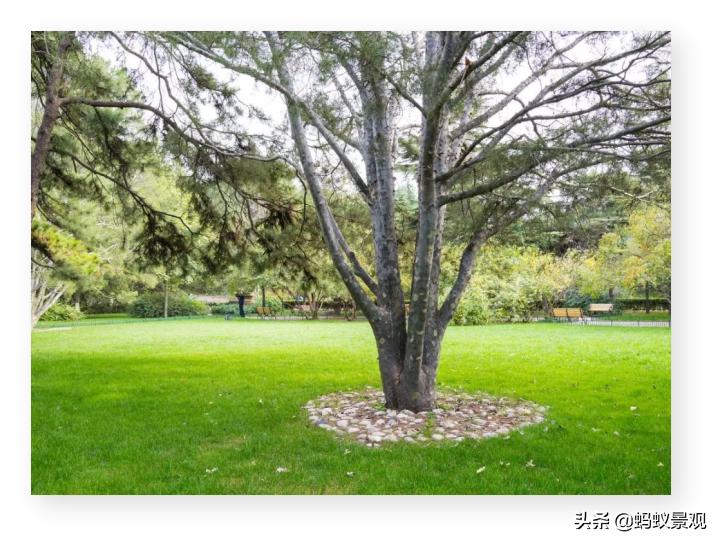 陈从周的园林作品有哪些,陈从周中国园林风格