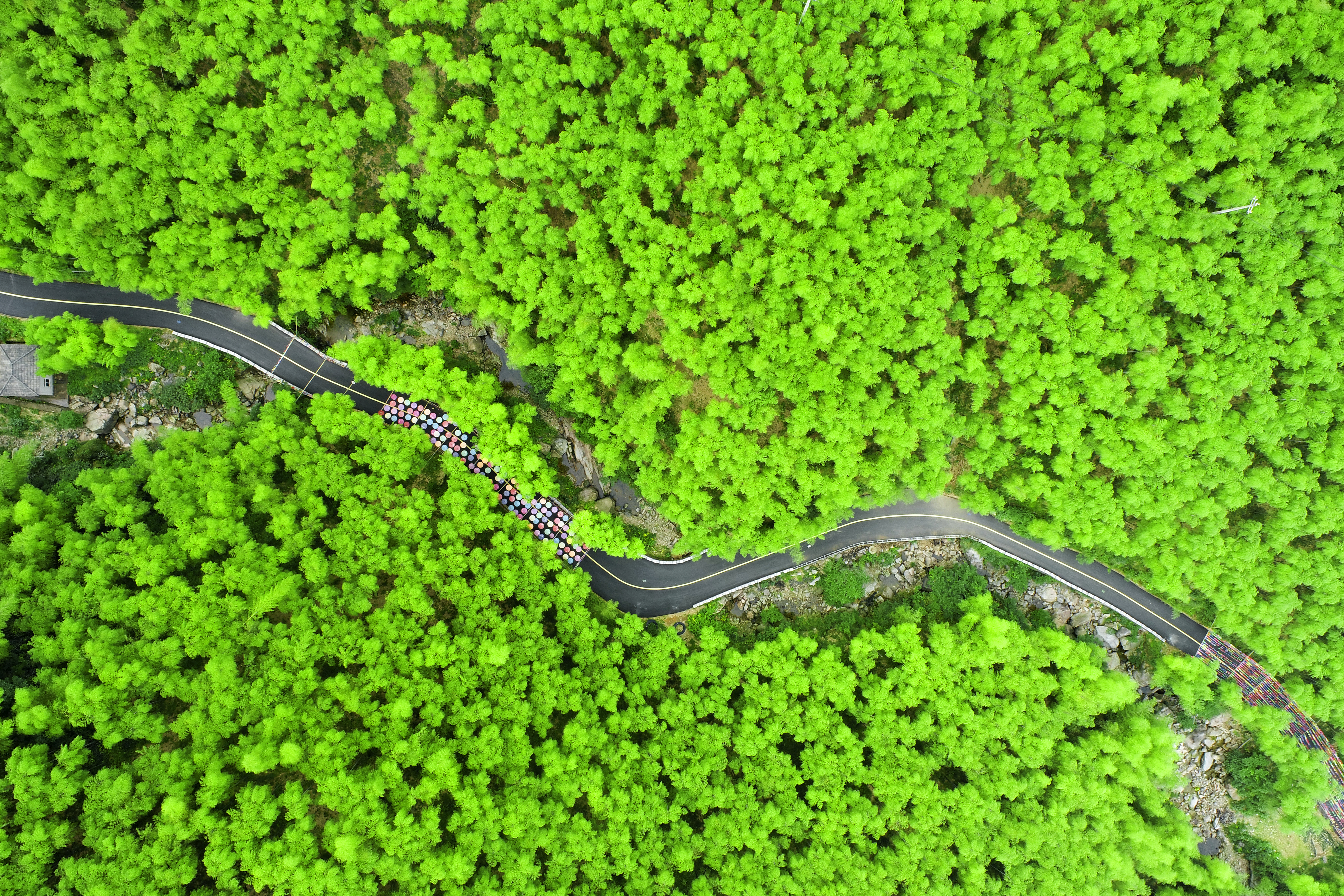 浙江最好玩的山水景区,浙江有什么幽静的地方