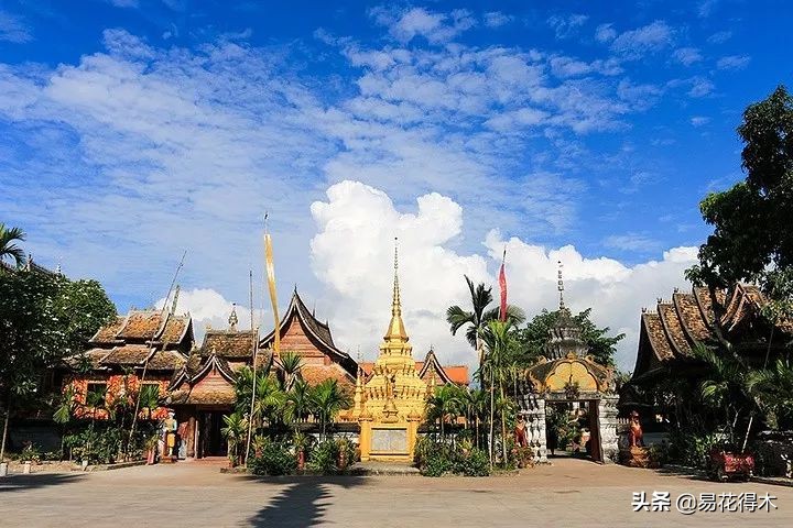 佛教为什么有五树六花,佛教中的五树六花图片