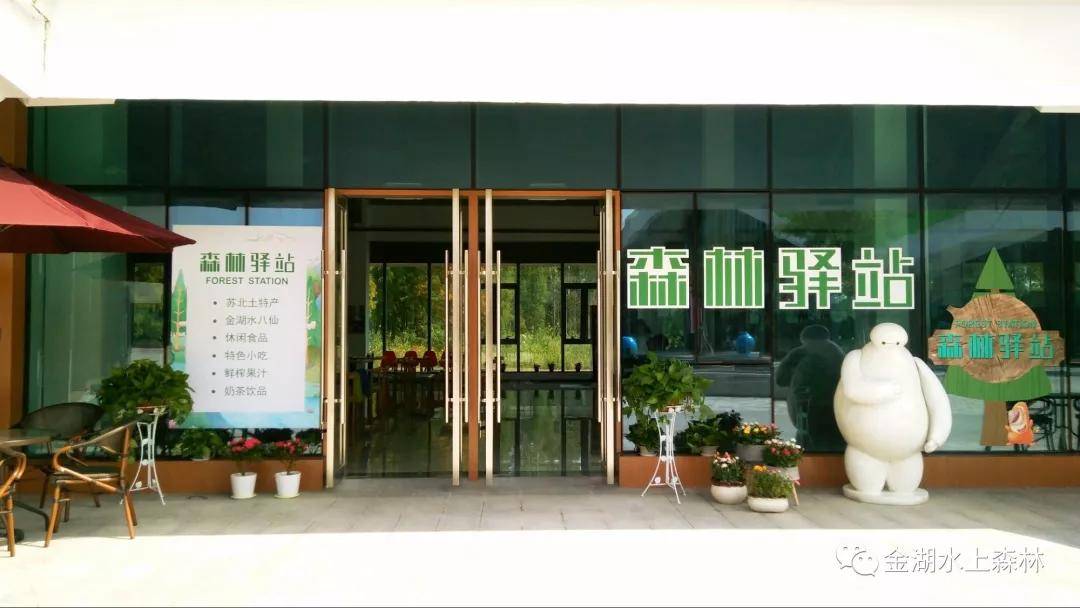 金湖水上森林公园最新森林探险,金湖水上森林公园到底好不好玩