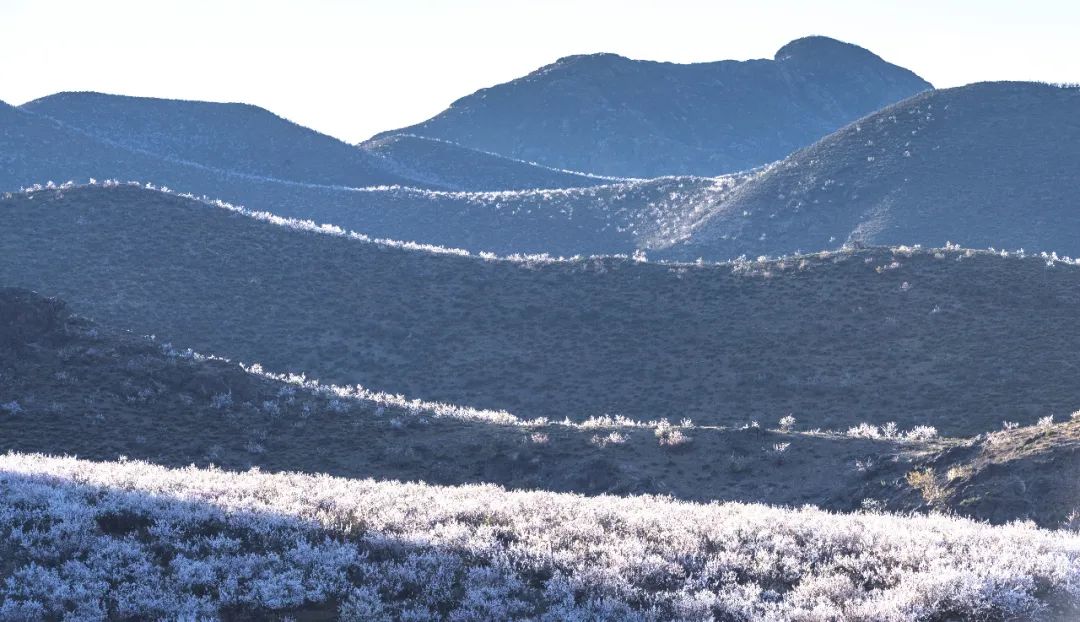 内蒙古通辽扎鲁特旗5条自驾游线路和景点攻略