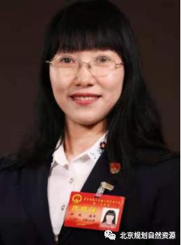 回天之力的意思,回天有力什么意思