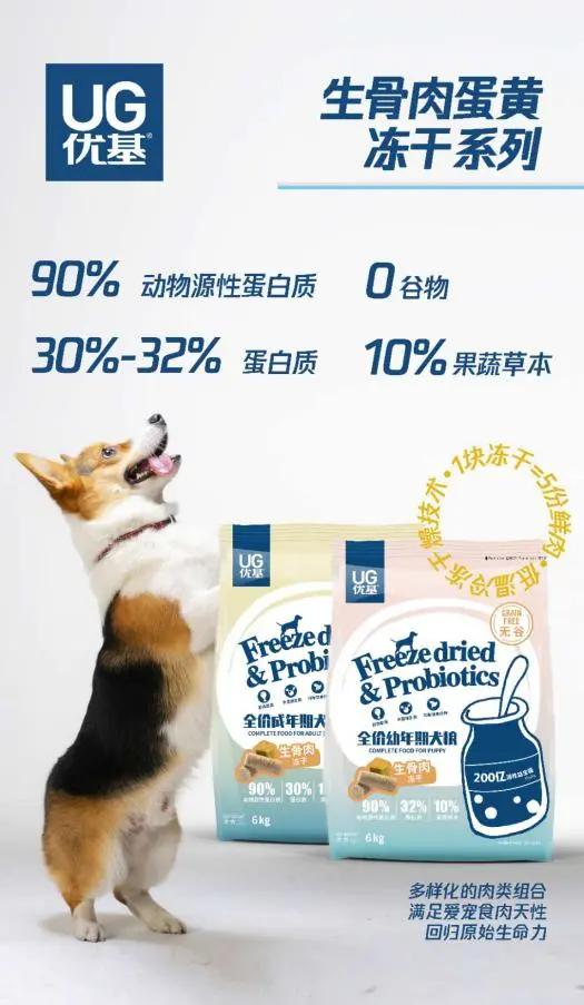 不办狗证狗被抓,不办狗证的狗被抓走会怎样