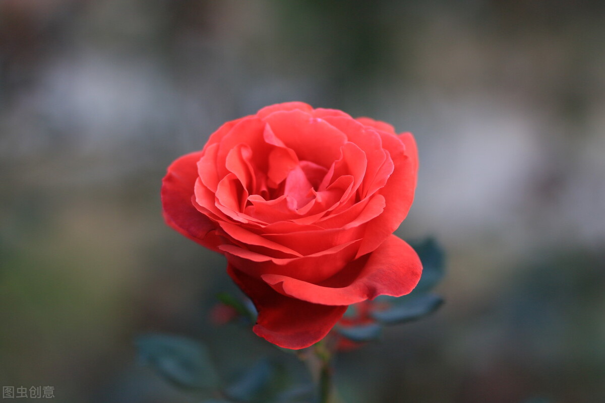 多重曝光拍摄光圈步骤,光圈对摄影曝光的影响