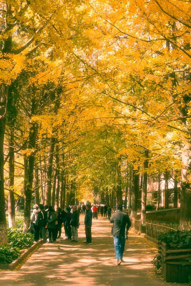 色彩调出高级灰色调,教你调出电影质感的作品