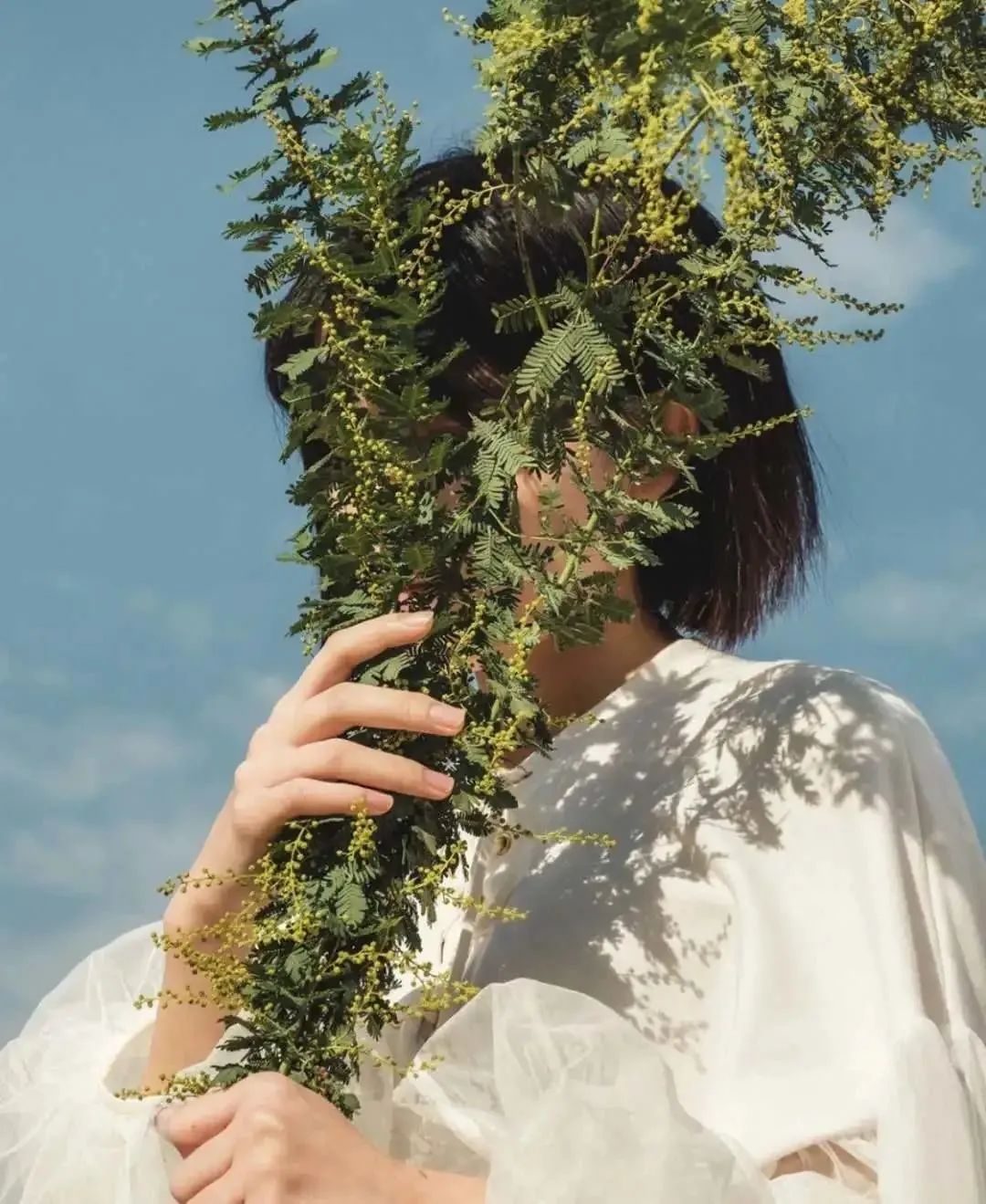 大家用手机拍出过什么好看的照片,赞别人的照片拍摄得好的句子