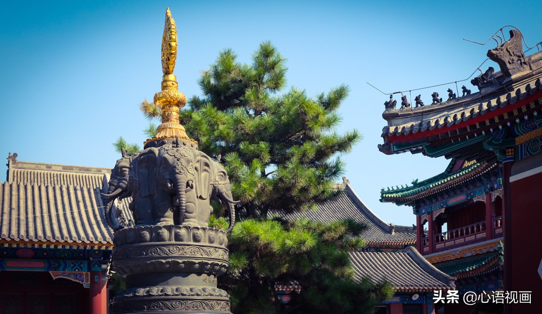 天津市最大的寺院在哪里,天津市最大的佛教寺庙