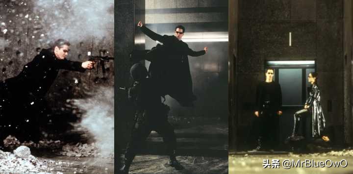 美国美女与野兽动作片视频,10部免费的经典美国动作片