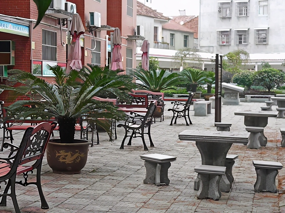 武穴市花桥镇花桥小学,花桥镇小学排名